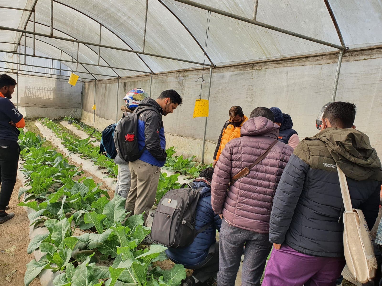 Mero Kishan: Connecting farmers with consumers